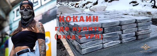 сатива Бугульма