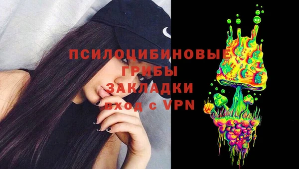 кокс Бородино