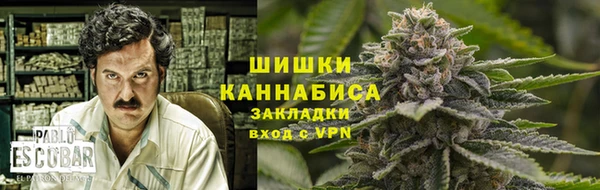 spice Бронницы